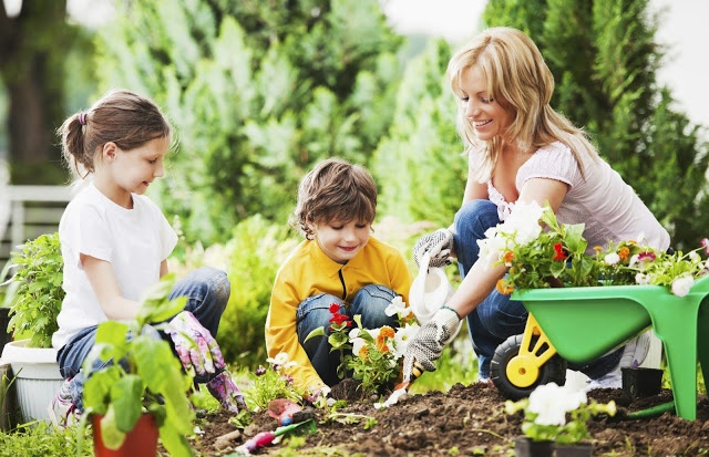 Go Green: Celebrate Mom Go Green: Celebrate Mom