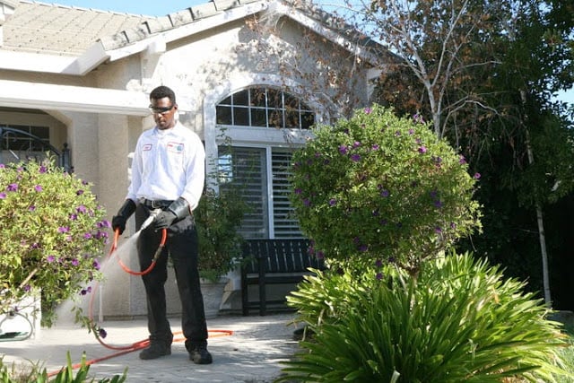 Pest Control: What to Know and How to Prevent Them Pest Control: What to Know and How to Prevent Them