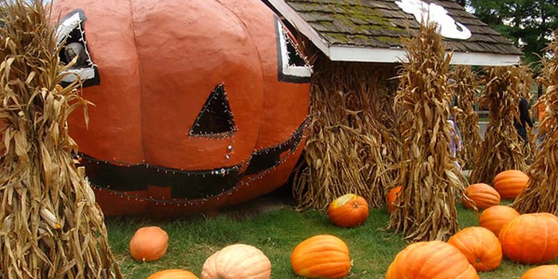 Pumpkin farmington garbett homes